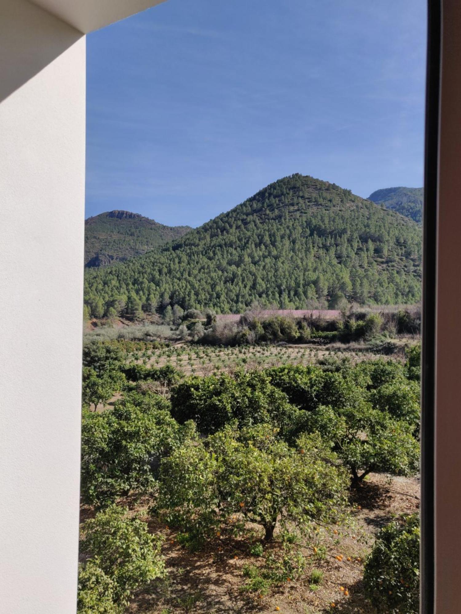L'Almassera - Chimenea Y Montana Para Grupos En Aielo De Rugat Ayelo de Rugat Kültér fotó